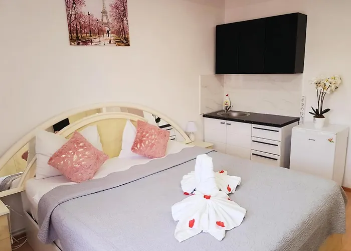 Guest house Pensiunea Red Rose