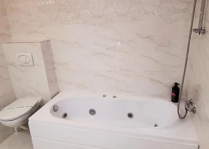 Pensionat Pensiunea Red Rose 4*