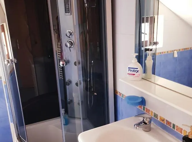 Pensiunea Red Rose 4* Timişoara