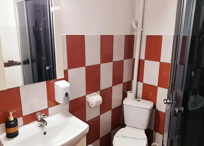 Pensiunea Red Rose Pensionat Timişoara