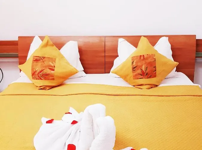 Pensionat Pensiunea Red Rose Timişoara