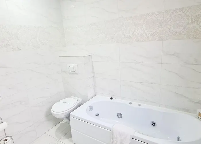 Pensiunea Red Rose Guest house Timisoara