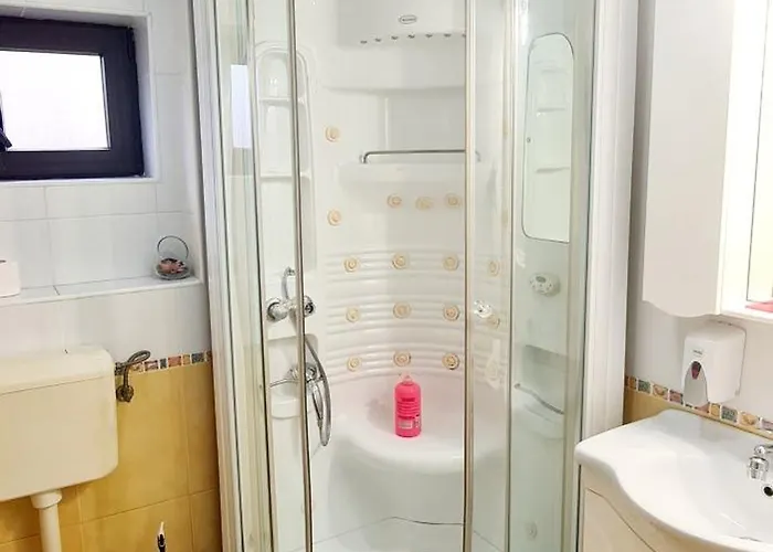 Pensionat Pensiunea Red Rose Timişoara