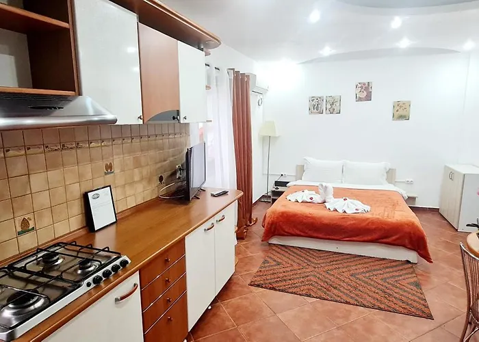 Pensiunea Red Rose Timisoara