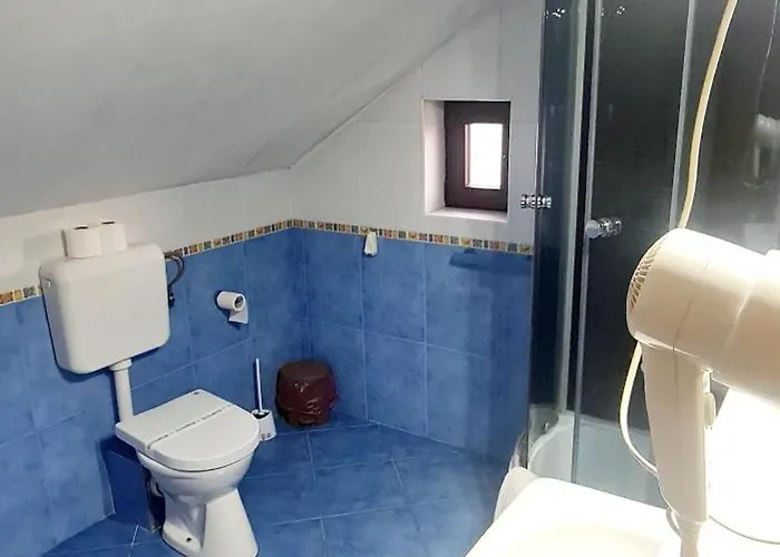 Pensiunea Red Rose Pensionat 4*