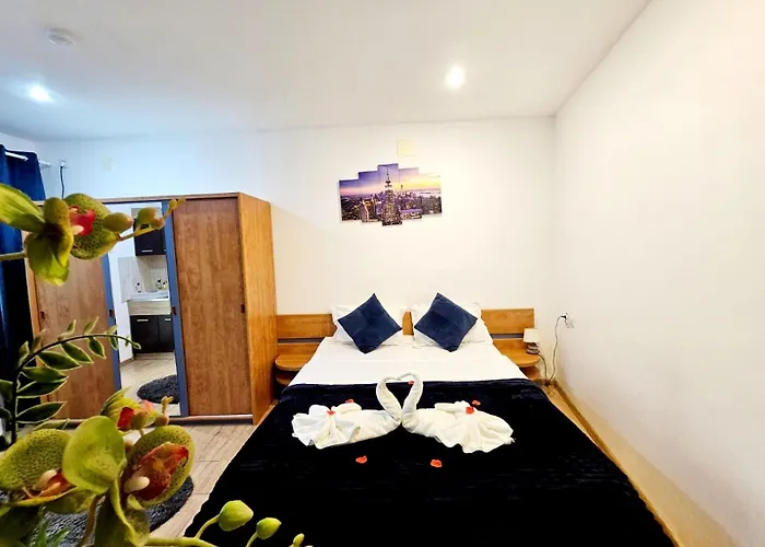 Pensionat Pensiunea Red Rose Timişoara