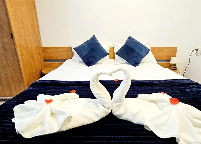 Pensiunea Red Rose 4*