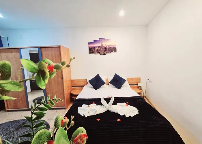 Guest house Pensiunea Red Rose Timisoara