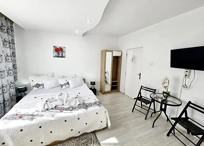 Pensiunea Red Rose Pensionat Timişoara