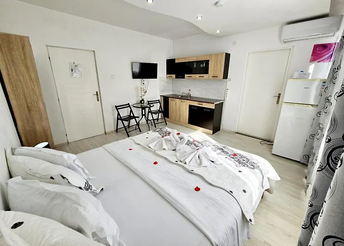 Pensiunea Red Rose Guest house Timisoara