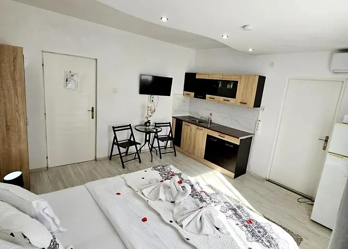 Pensiunea Red Rose Timisoara