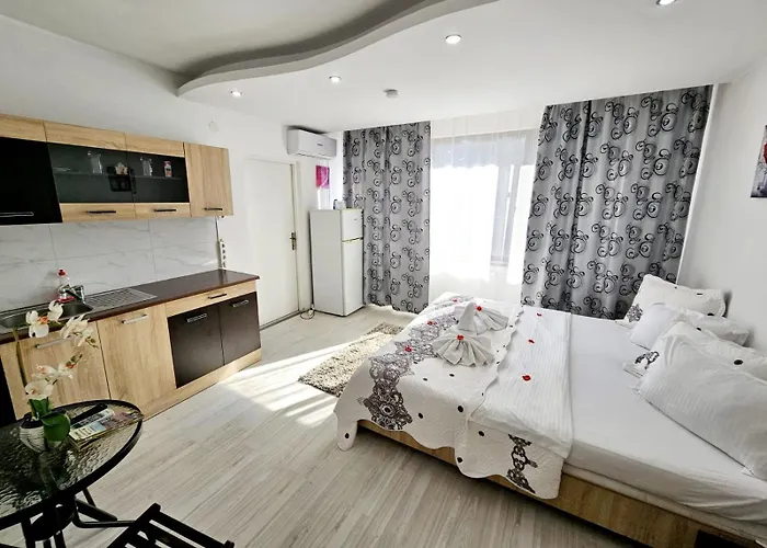 Pensiunea Red Rose Guest house 4*