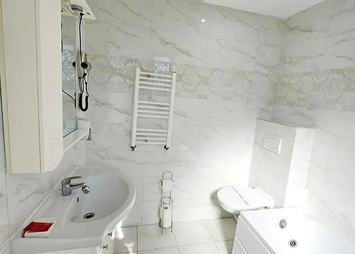 Pensiunea Red Rose Pensionat Timişoara