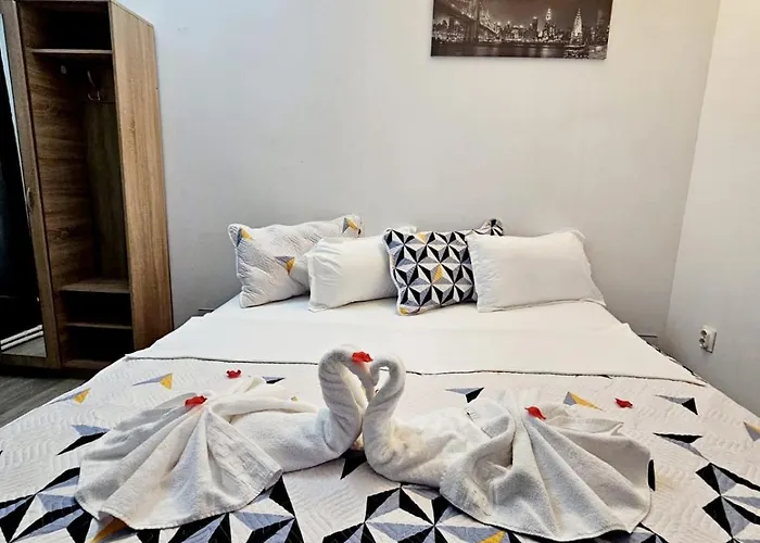 Pensionat Pensiunea Red Rose Timişoara