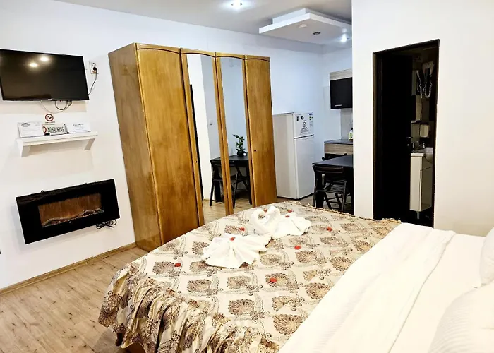 Pensiunea Red Rose Timişoara