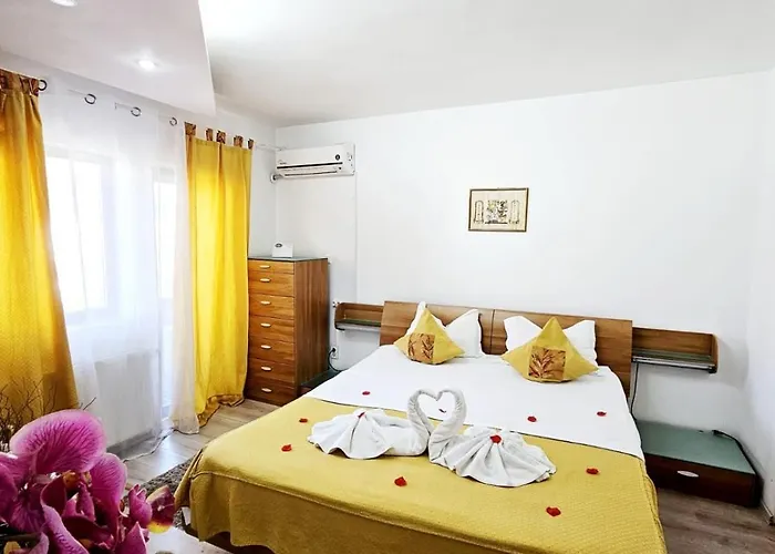 Pensiunea Red Rose 4* Timişoara