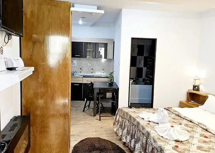 Pensiunea Red Rose Pensionat 4*