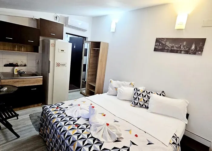 Pensionat Pensiunea Red Rose 4*