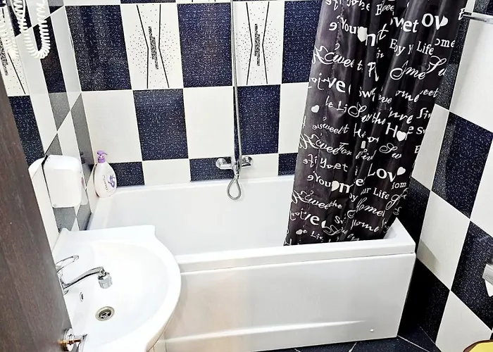 Pensiunea Red Rose Pensionat Timişoara