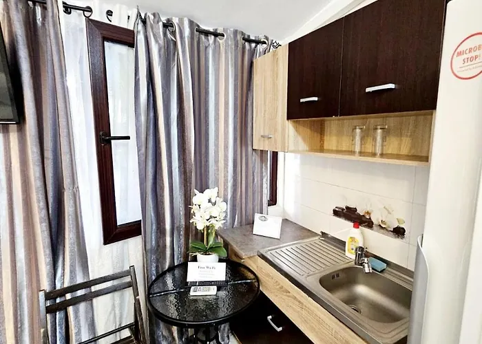 Pensiunea Red Rose 4*