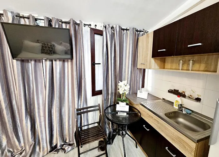 Pensiunea Red Rose Timişoara