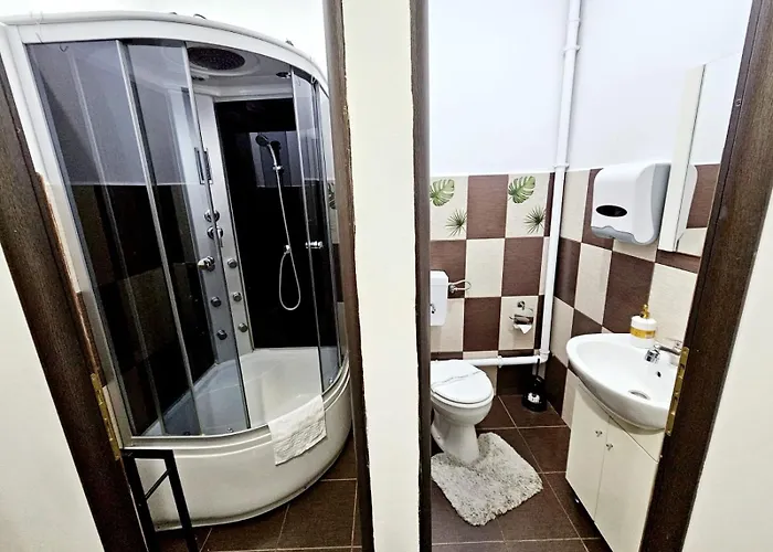 Pensiunea Red Rose 4* Timişoara