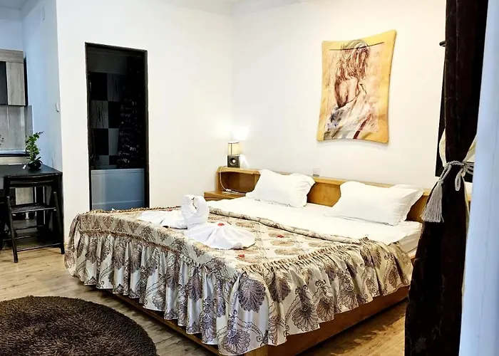 Pensiunea Red Rose Pensionat