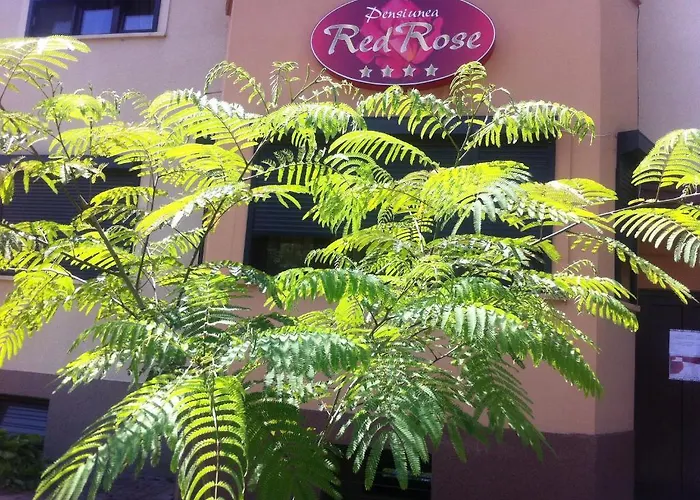 Pensionat Pensiunea Red Rose Timişoara