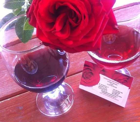 Pensiunea Red Rose 4*