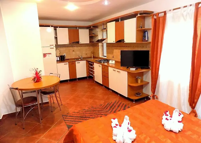 Pensionat Pensiunea Red Rose