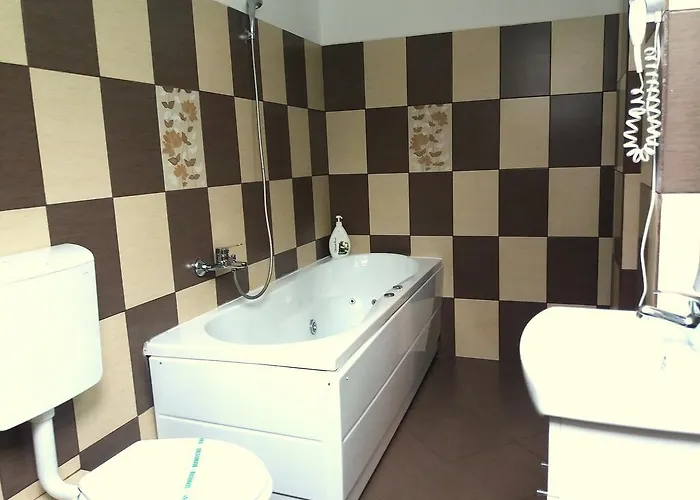 Pensiunea Red Rose Guest house Timisoara