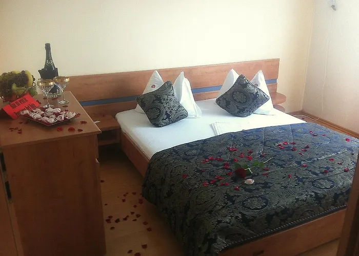 Pensionat Pensiunea Red Rose 4*