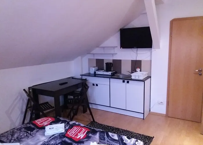 Pensionat Pensiunea Red Rose 4*