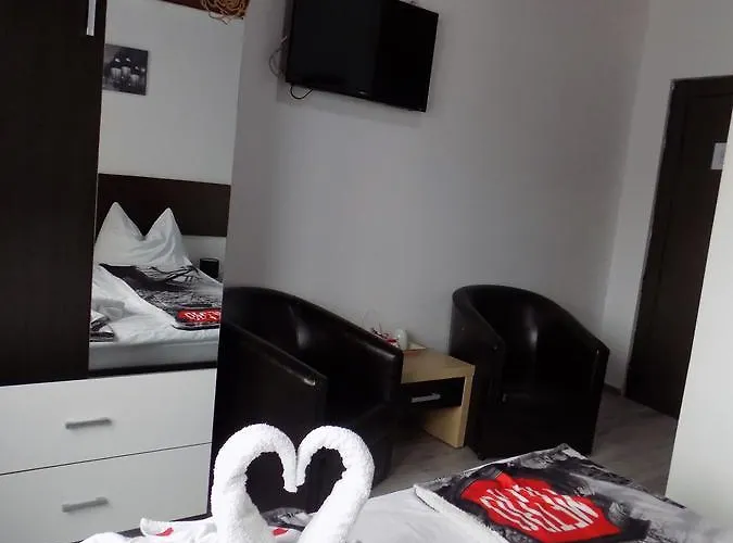 Guest house Pensiunea Red Rose