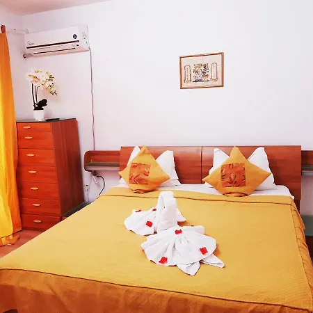 Pensiune Pensiunea Red Rose Timişoara