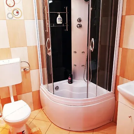 Pensiunea Red Rose 4* Timisoara