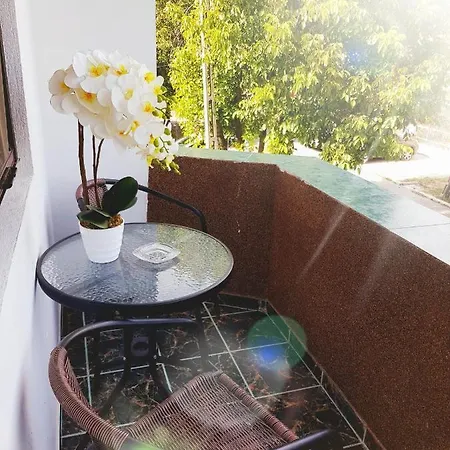 Guest house Pensiunea Red Rose 4*