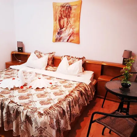 Guest house Pensiunea Red Rose 4*
