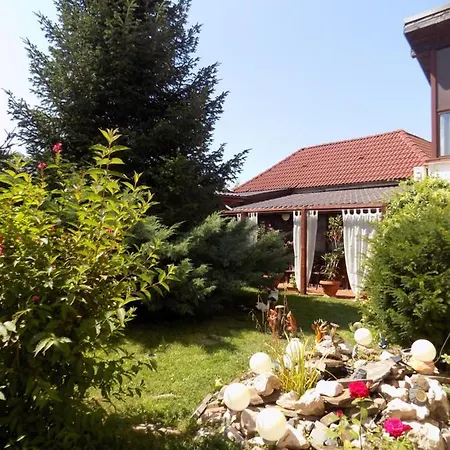 Pensiunea Red Rose Pensiune 4*