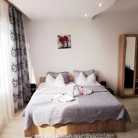 Pensiunea Red Rose Guest house Timisoara