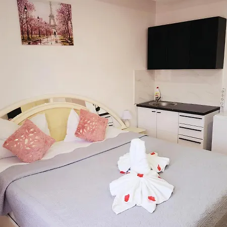 Guest house Pensiunea Red Rose