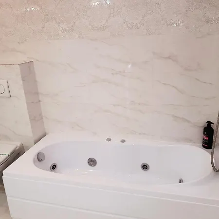 Guest house Pensiunea Red Rose 4*