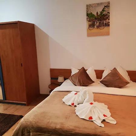 Pensiunea Red Rose 4* Timisoara