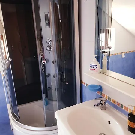 Pensiunea Red Rose 4* Timisoara