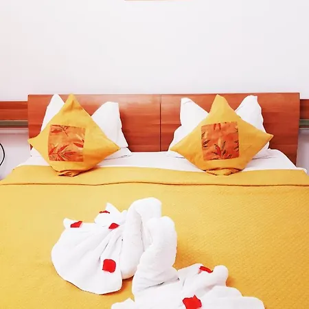 Guest house Pensiunea Red Rose Timisoara