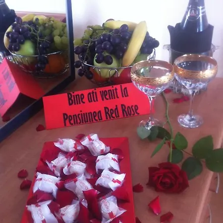 Pensiunea Red Rose Guest house 4*