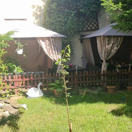 Pensiunea Red Rose Pensiune