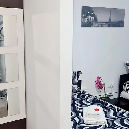 Pensiunea Red Rose Guest house 4*