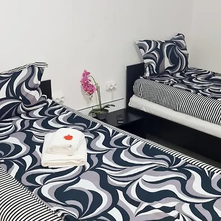 Guest house Pensiunea Red Rose 4*