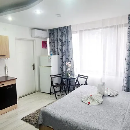 Pensiunea Red Rose 4*